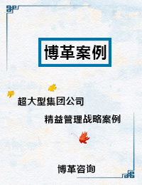 1-超大型集團公司精益管理戰略-博革咨詢案例 -超大型集團公司精益管理戰略-博革咨詢案例